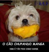 Avatar de SniperCego