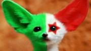 Avatar de Sosoairfret