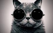 Avatar de spanteo