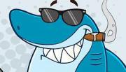 Avatar de squalaa