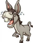 Avatar de Stphane sgdf