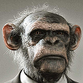Avatar de survivals