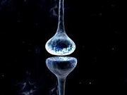 Avatar de Synapse