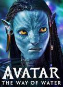 Avatar de Tarek308