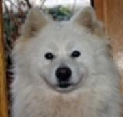 Avatar de temerinac