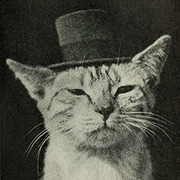 Avatar de thms.bard