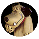 Avatar de Totau