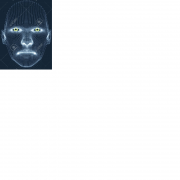 Avatar de totofdu09