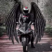 Avatar de tueur011