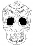 Avatar de voxifer