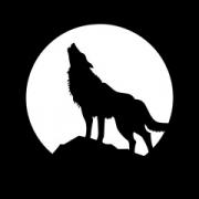 Avatar de whitewolf
