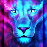 Avatar de WISSEMSHABOU
