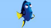 Avatar de yokonie