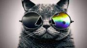 Avatar de Zoulback