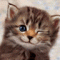 Avatar de lechat