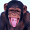 Avatar de senzapalle