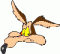 Avatar de coyote1000s