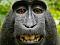Avatar de maxime741
