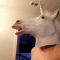Avatar de nobmahc