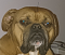 Avatar de Fredje