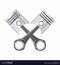 Avatar de dusan1400