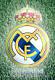 Avatar de khaledbanise