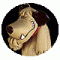 Avatar de Totau