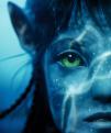 Avatar de neotion