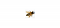Avatar de andre.lozach3@free.fr